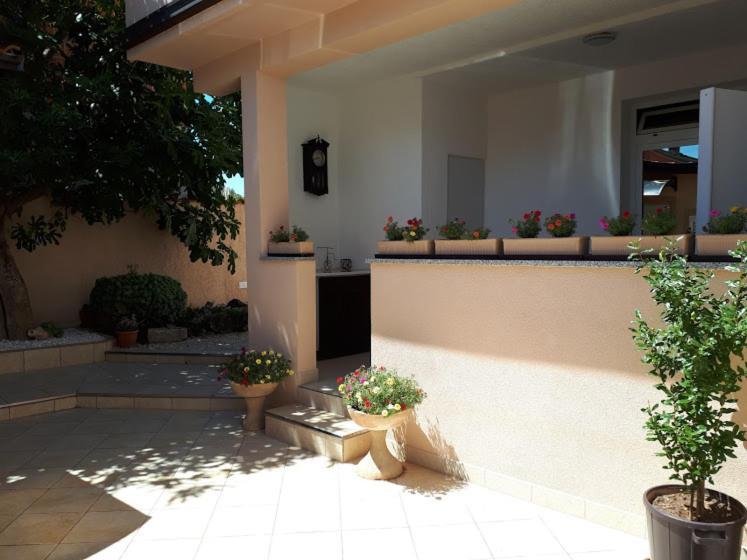 Apartments Rovis Tar-Vabriga Bagian luar foto